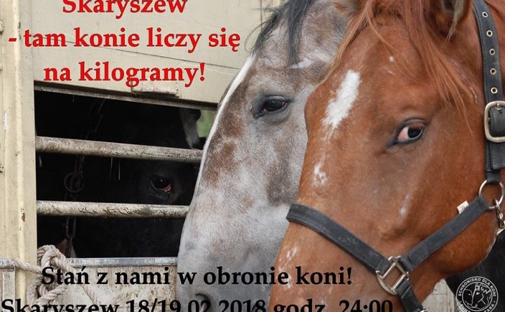 Obrońcy praw zwierząt zapowiadają demonstrację w Skaryszewie