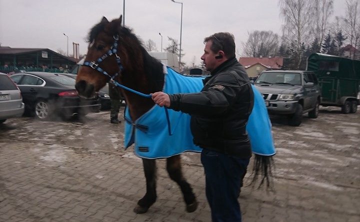 Targ koni w Skaryszewie